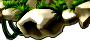 enH1_1.png