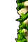 enV0_0.png