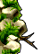 enV1_1.png