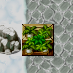 未标题-1.png