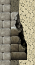 搜狗截图_2012-06-30_10-59-48.png