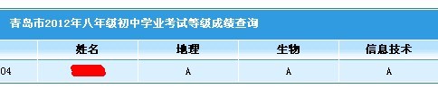 成绩.jpg
