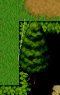 1.PNG