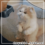 12070914139b3df16521cdc8a7.gif