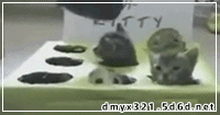 1207081843225b3d442b527098.gif