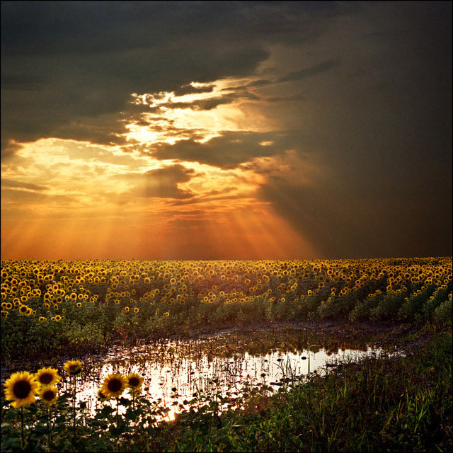 original_Xl4o_7a500000017a1260.jpg
