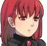 afsa.png