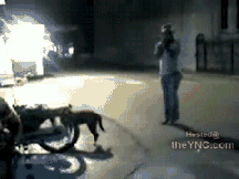 未命名.gif