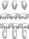 11.png