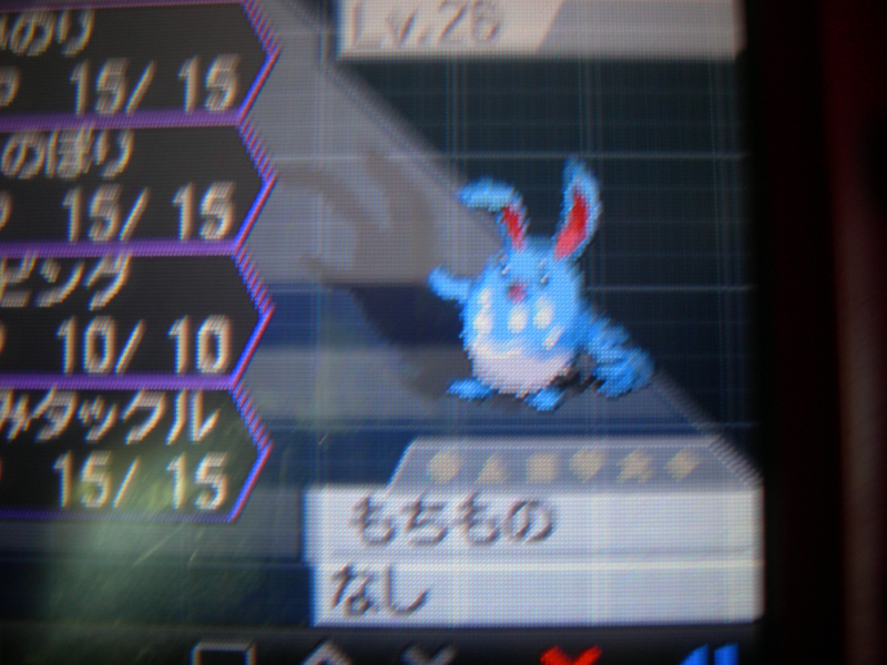 DSCN9746.jpg