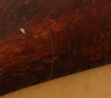 DSC01422.JPG