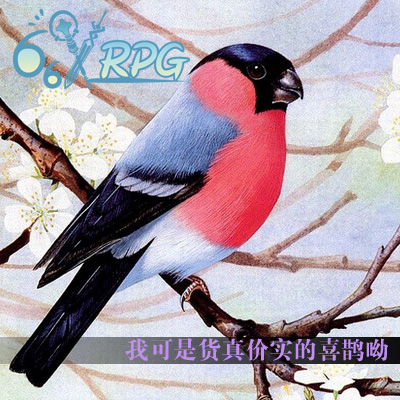 huodong-02.jpg