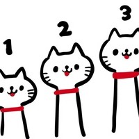13455963I43L0-Q5411.jpg