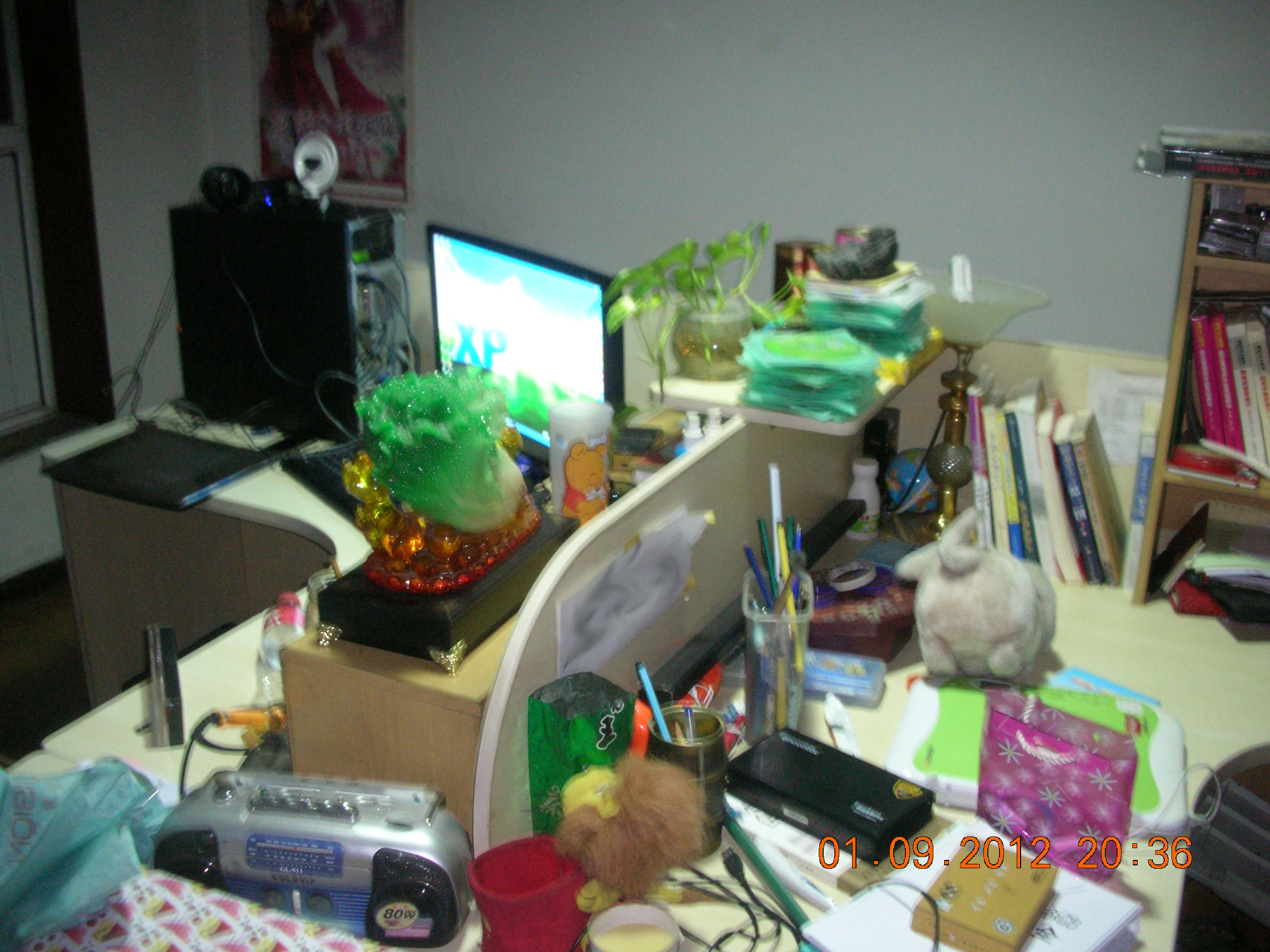 DSCN6769.JPG