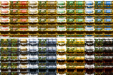 imgbb500885cd79d8d.png