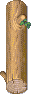 树干