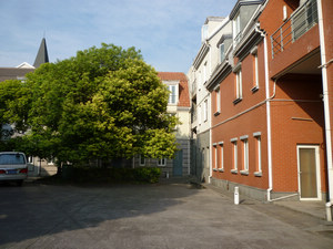 P1060717_nEO_IMG.jpg
