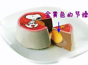 w020050906570265307710_副本.jpg