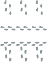 footprint-VX.png
