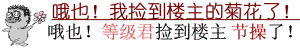 节操.gif