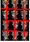 搜狗截图121008_2.png