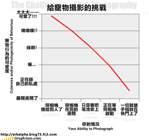p_large_WG3x_09ee00003ae72d12.jpg