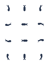 $fish.png