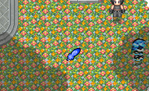 QQ截图20121014074915.png