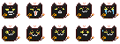 秋日小黑.png