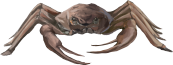 河蟹