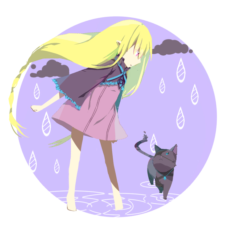 猫副本2.jpg