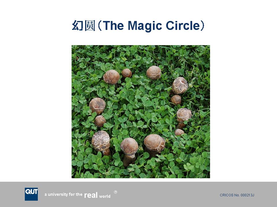 幻灯片4.JPG