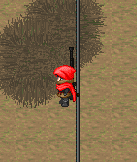 BUG图.PNG