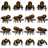 1010.png