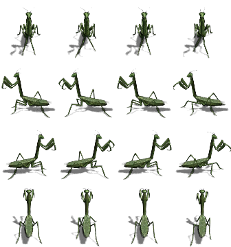2929.png
