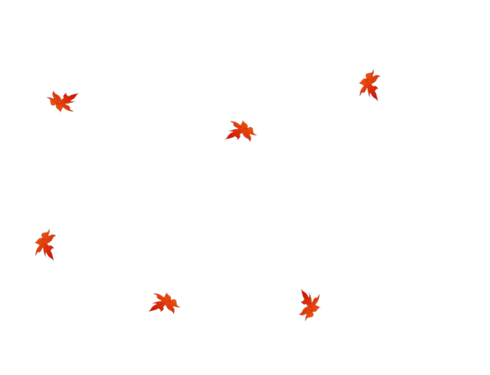 未标题-2副本.png