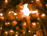 未命名.gif