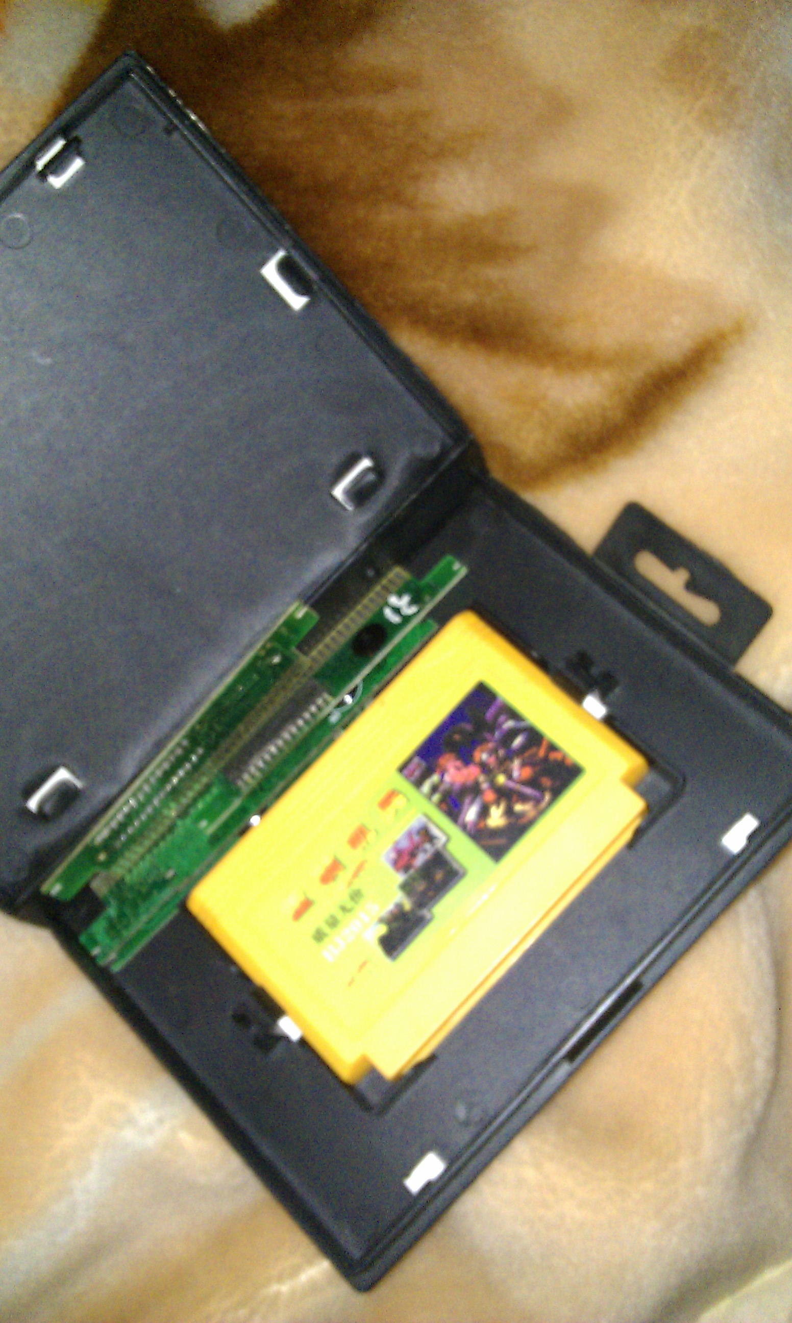 IMAG0256.jpg