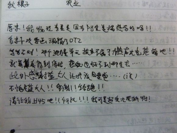 84.jpg