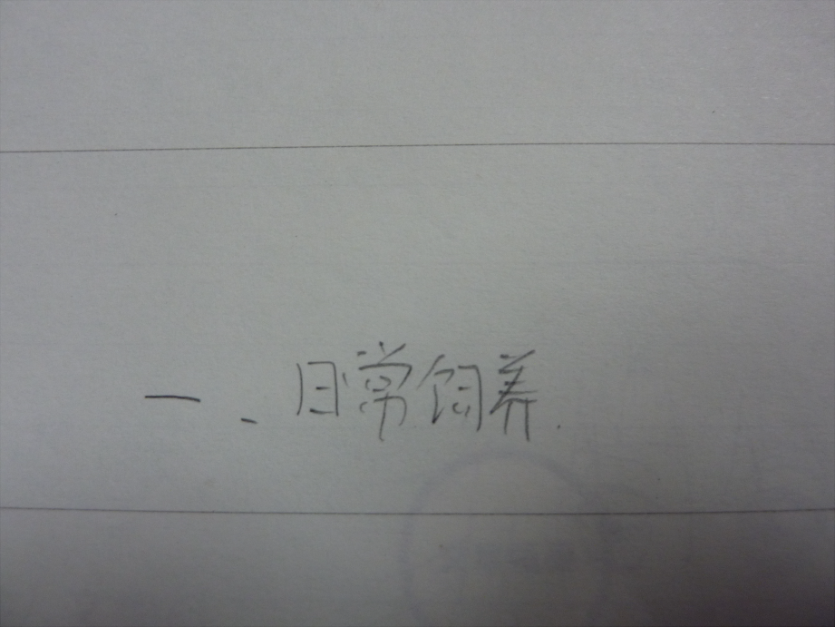 饲养2.png