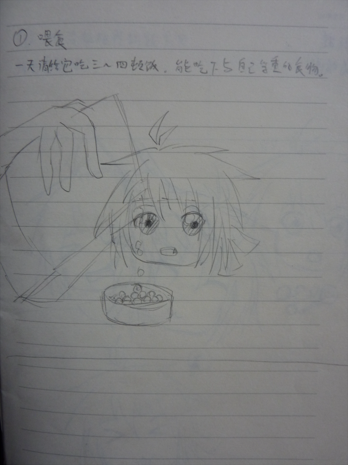 饲养3.png