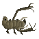 古手虫.png