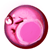 dp6.gif