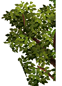 27.png