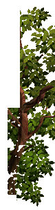 33.png