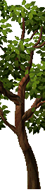 36.png