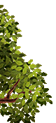 48.png