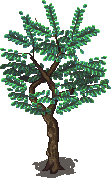 13.png