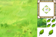 window2.png