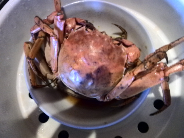YP20130320141719.jpeg